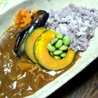 夏野菜カレー|もっこさん