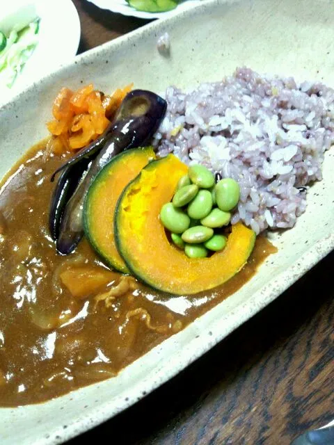 夏野菜カレー|もっこさん