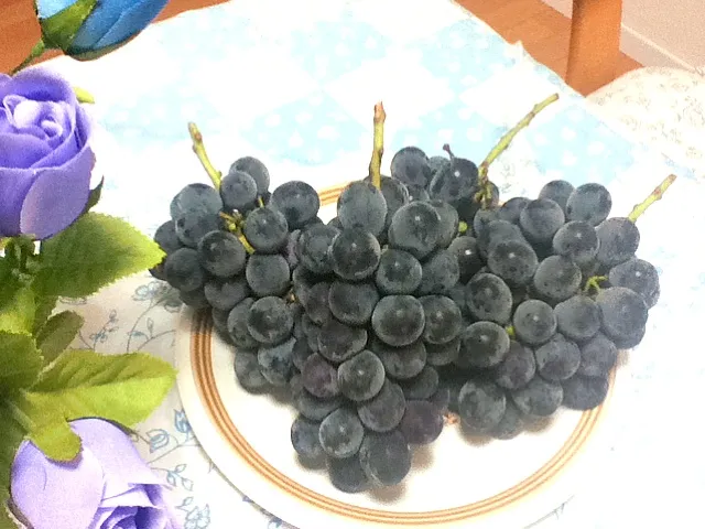 fresh grapes|angel chengさん