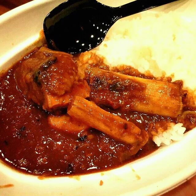 炭火焼鶏カレー|ふぃるまめんとさん