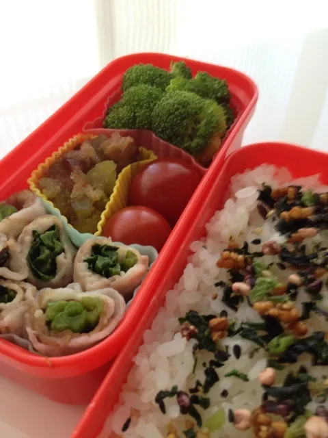 今日のお弁当。全体的にグリーン(；´Д`|温さん