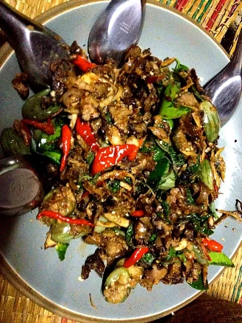 Stir-Fried spicy Monkey(ผัดเผ็ดลิง)|jibfoodさん