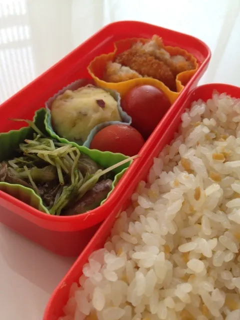 Snapdishの料理写真:今日のお弁当|温さん