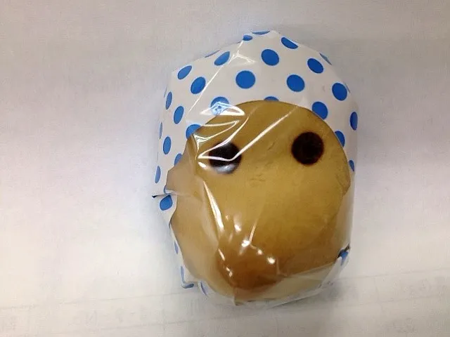 お土産、頂きました|neige snowさん