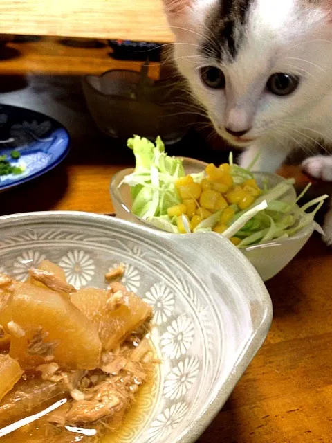 大根とツナの煮物|まゆさんさん