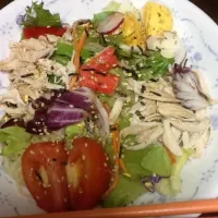 hiyashi chuka (japanese cold noodles)|chelle guzmanさん