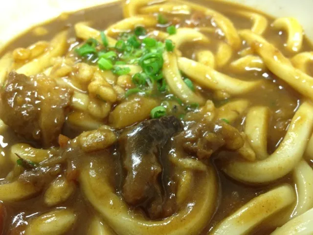 今日の病食。牛スジカレーうどん500円|yossiniさん