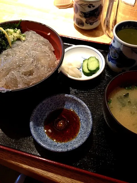 生しらす丼定食|ビアンキさん