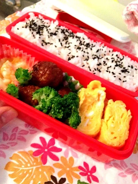 お弁当|Haruka Kumaさん