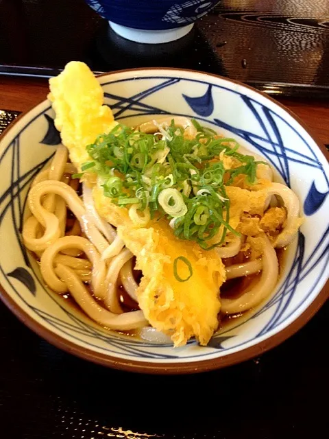 ぶっかけうどんイカ天付き|カレーまんさん