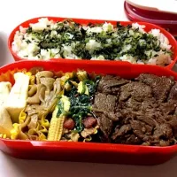 Snapdishの料理写真:本日のお弁当|ayaさん