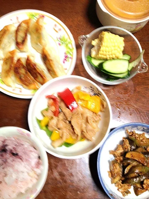 ワケギ餃子 茄子と豚肉の甘辛味噌炒め 三色ピーマンと豚ばら肉の炒め物 他|掛谷節子さん