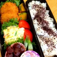 低たんぱくなお弁当|midoriさん