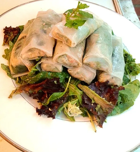 salmon-mint spring roll, arugula salad|Bridgetさん