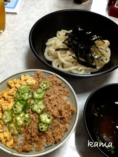 そぼろ丼  讃岐うどん|かまさん