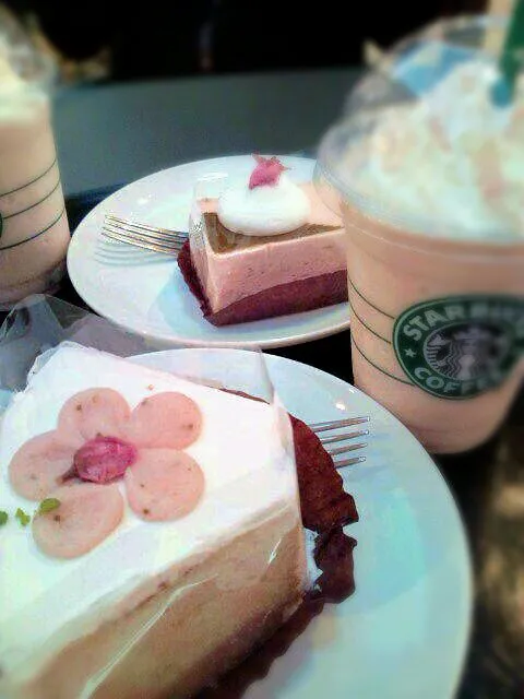 SAKURAシリーズ(さくらシフォンケーキ、さくらチーズケーキ、さくらクリームフラペチーノ)／STARBUCKS COFFEE @お台場VenusFort|ひろみんこさん