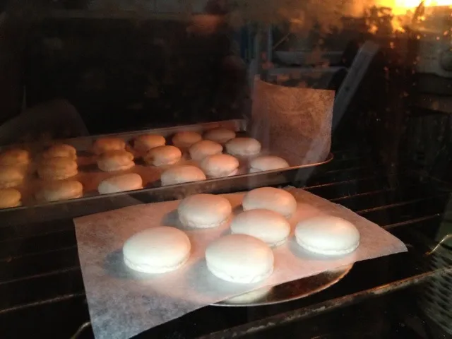 my vanilla marshmallow macarons in the oven|Nicky de Wittさん