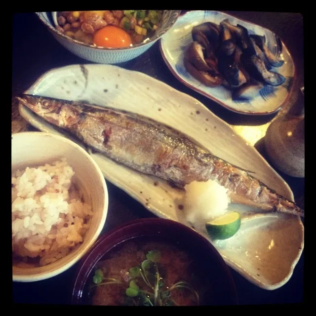 秋刀魚の朝食です|渋谷聖子さん