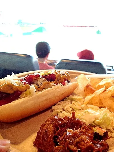 hot dogs at the national bball park|lanchi bombalierさん