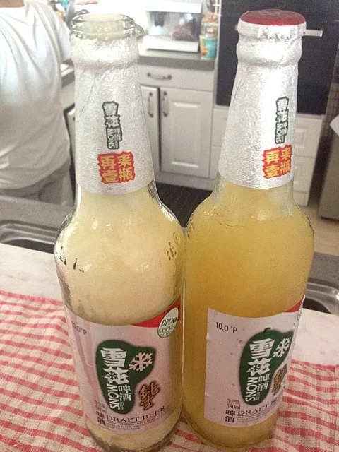 Snow Beer left frozen in fridge 😔 again|Queenさん