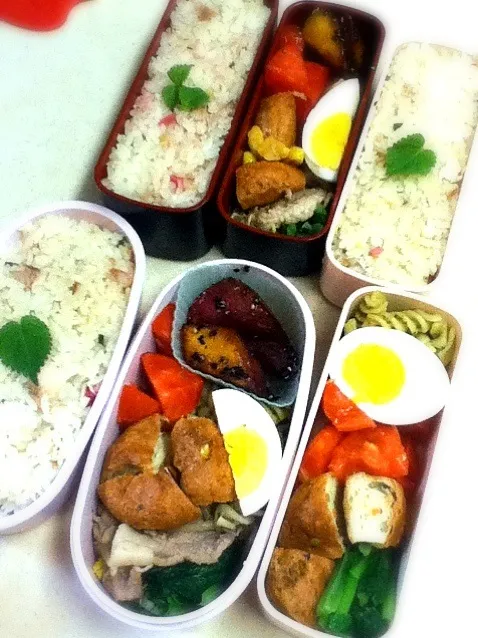 Snapdishの料理写真:今日から新学期。鯛飯を弁当に、とのリクエストがあり家族三人鯛飯弁当。|hoppycowさん