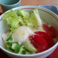 Snapdishの料理写真:冷たいうどんサラダ|38k-tkhrさん