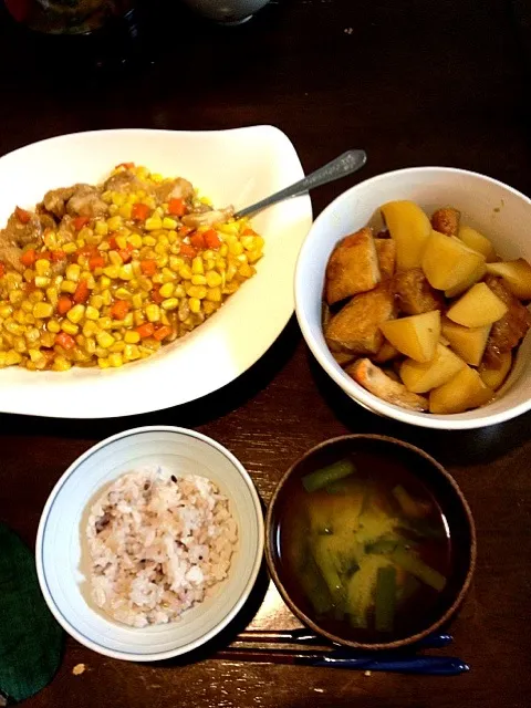 鶏胸肉ととんぼころしの炒め物  ジャガイモとさつま揚げの煮物 ニラの味噌汁|やなさんさん