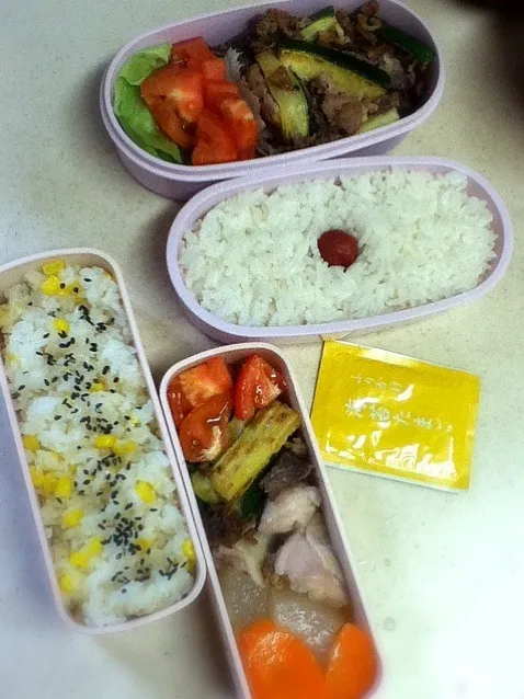 Snapdishの料理写真:今日のJK&OL弁当|hoppycowさん