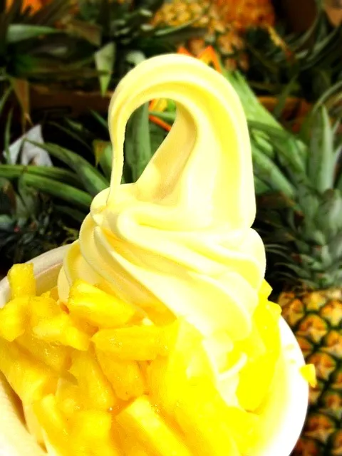 ジューシー過ぎる！パイナップルがめためた濃ゆい！＠DOLE Plantation|シホりんさん