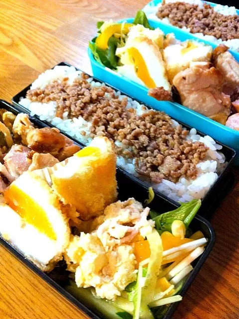 9/5お弁当|koriさん