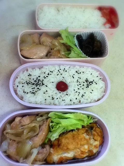 今日は入れるものが無くて困ったJKOL弁当(^◇^;)|hoppycowさん