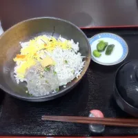 Snapdishの料理写真:しらすと生しらすのハーフ丼|けいさん