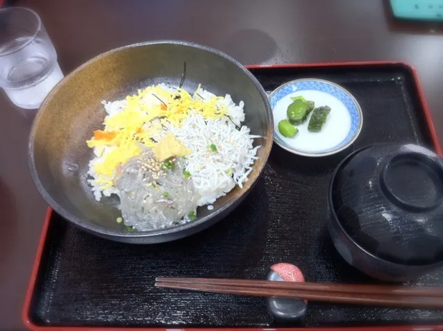 しらすと生しらすのハーフ丼|けいさん