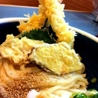 ひや天おろしうどん