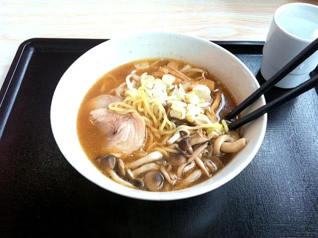 信州味噌ラーメン|ポーラさん