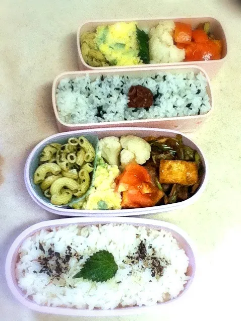 Snapdishの料理写真:今日のJK&OL弁当。|hoppycowさん