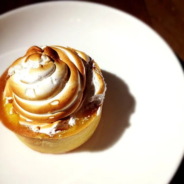 lemon.meringue.tart|ej adamさん