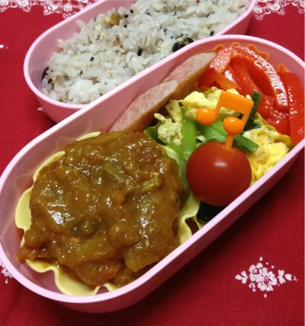 Snapdishの料理写真:カレー煮込みハンバーグ弁当|kokoさん