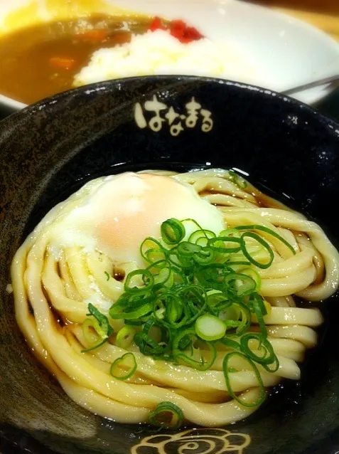 冷たい温玉ぶっかけのカレーセット。こういうとき、うどんとカレーと交互に食べる？片方一気に食べてから次へ？|liccaさん