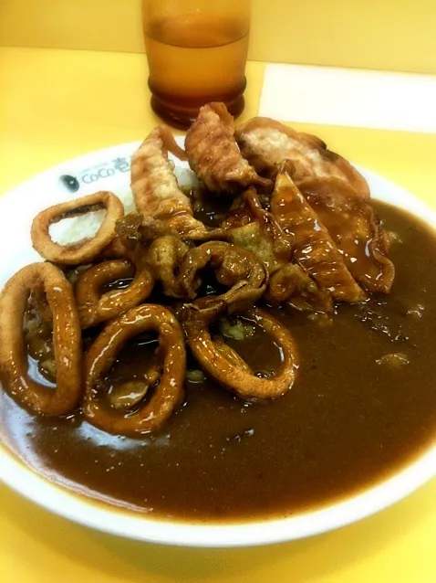 ココ一番のイカ餃子カレー なんかすごい(^_^;)|happymamaさん