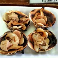 Snapdishの料理写真:おおあさりの浜焼き|細川詞音さん