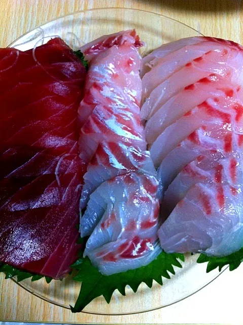 Tai sashimi|Loren Fykesさん