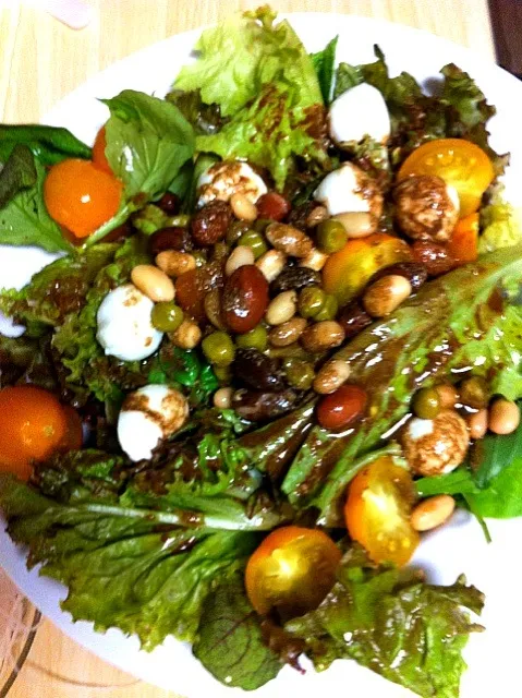 Five-bean mixed greens salad with mozzarella and vinaigrette anchoïade|Loren Fykesさん