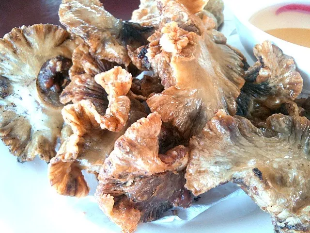 Chicharon Bulaklak|Ron Cortadoさん