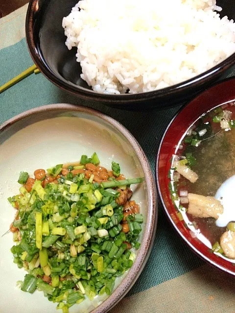 #昼飯  待望のネギ納豆(納豆2個分)。白米もおかわりしていっぱい食べた。|ms903さん