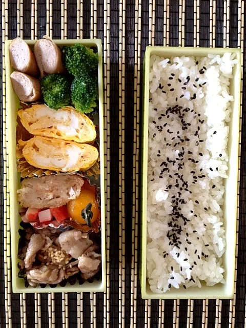 今日のお弁当  自分用|りすなさん