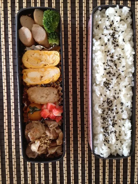 今日のお弁当  姉用|りすなさん