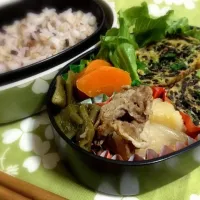 ひじきの玉子焼き＆肉じゃがのお弁当|izさん