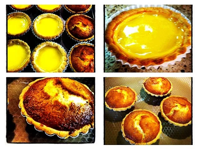 Hong Kong Egg Tarts and coconut tarts|janice Williamsさん