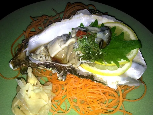 jumbo pacific oyster|micky chanさん